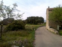 photo de la rue chemin d'accès