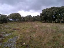 photo Sud du terrain